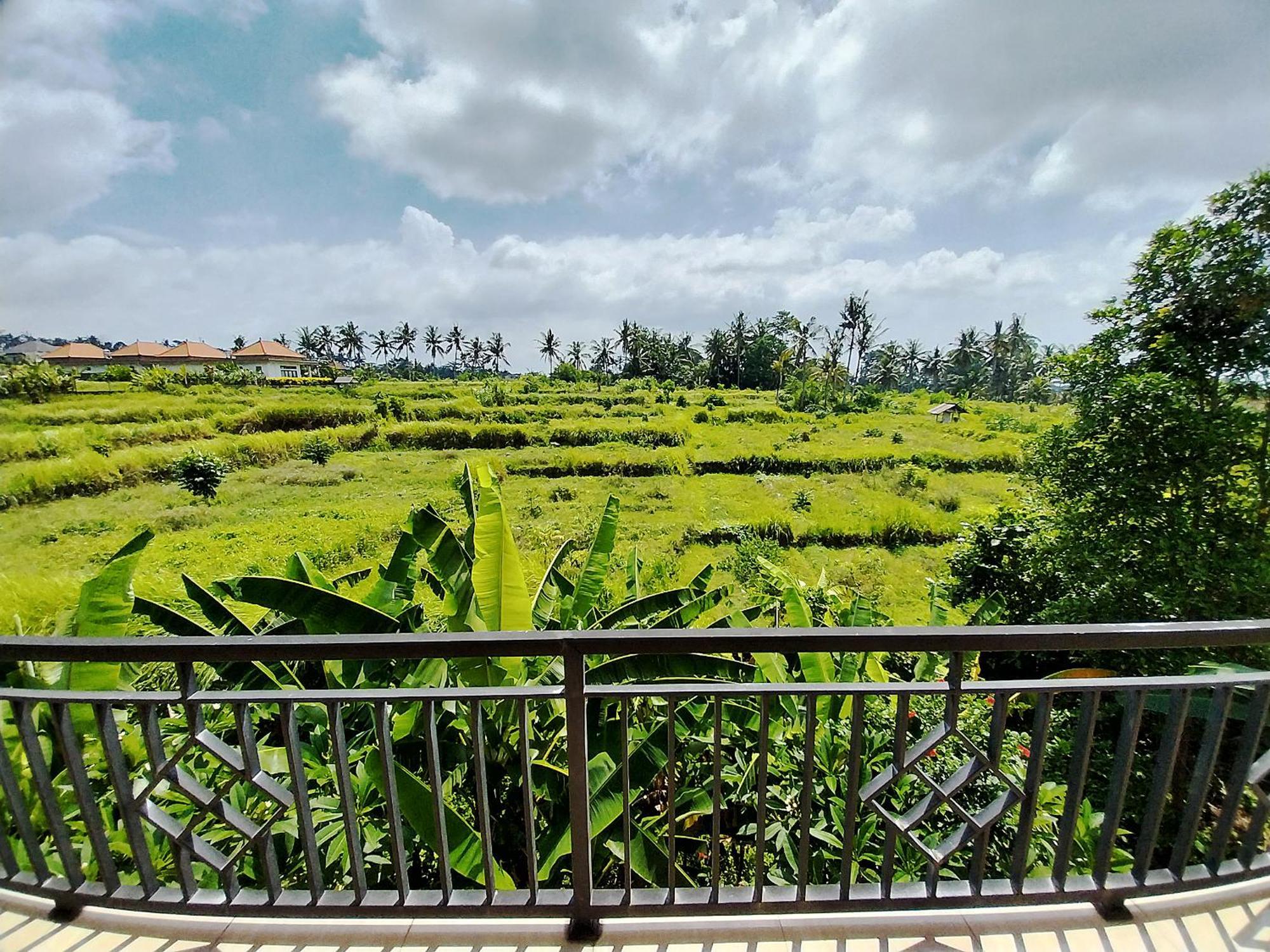 Puri Prana Guest House Ubud Exteriör bild