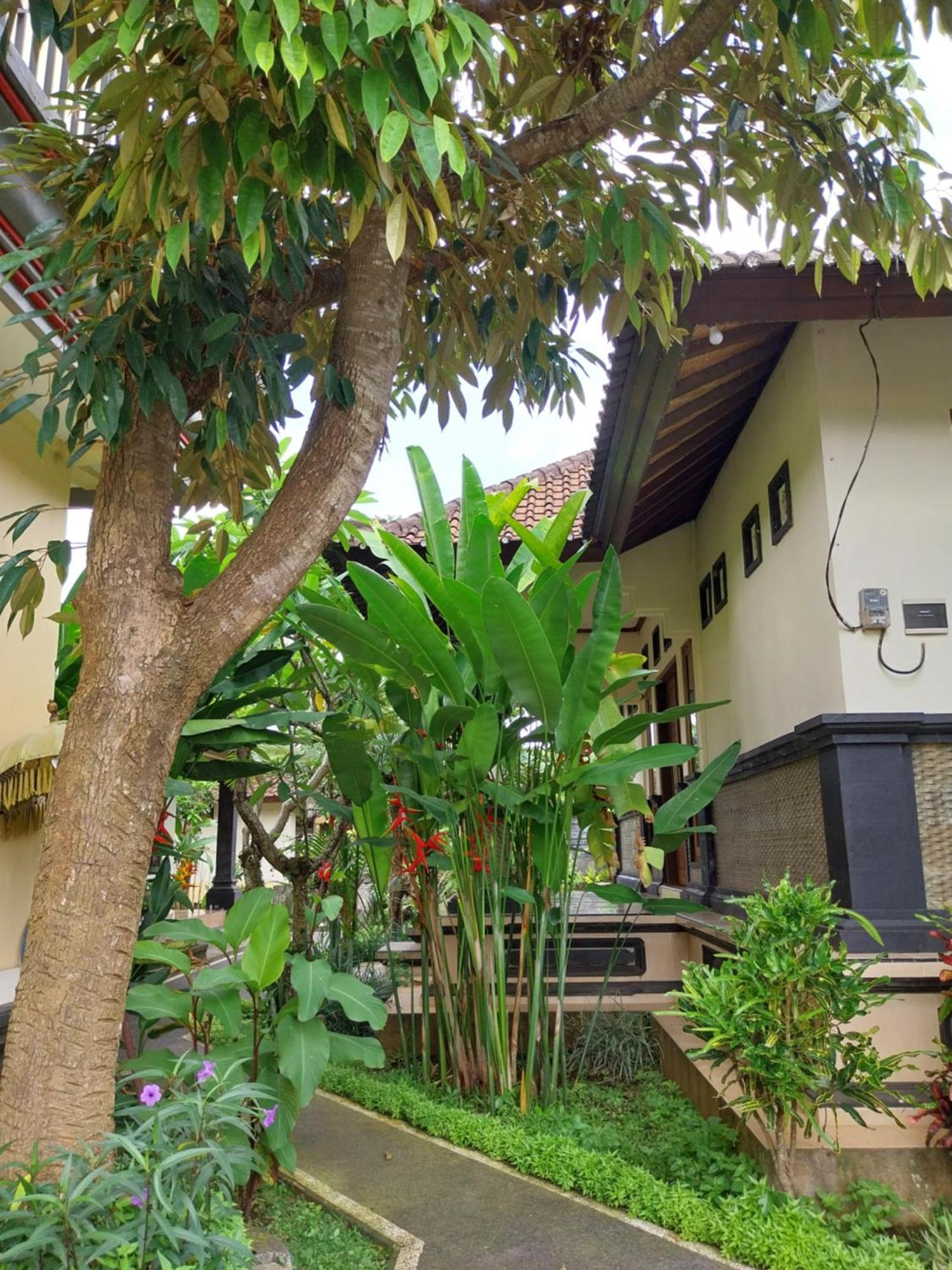 Puri Prana Guest House Ubud Exteriör bild